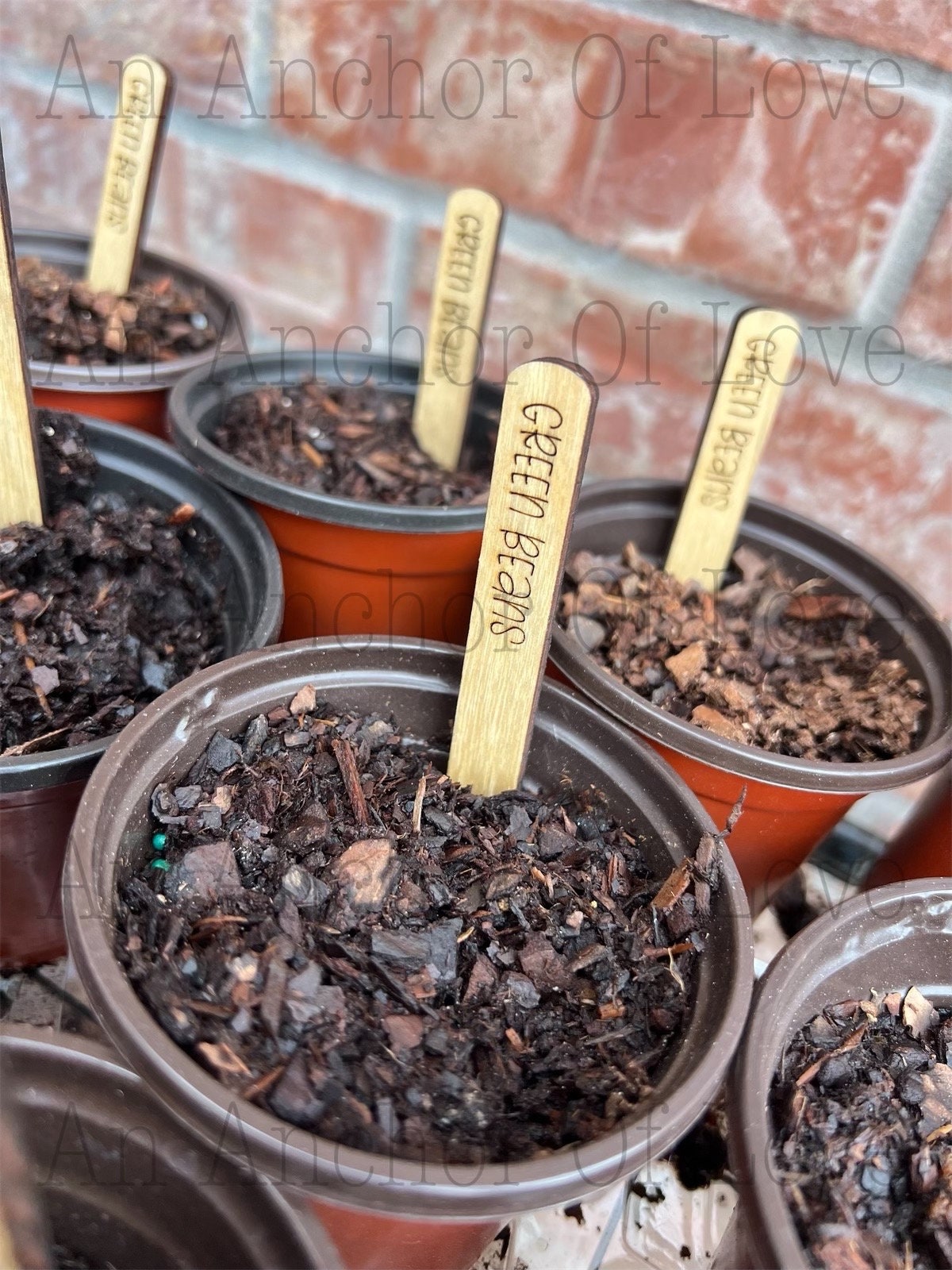 Garden and Plant Markers - Herb Garden - Spice Garden - Garden Labels - Garden Stake - Gardener Gift - Mother's Day - Green Thumb