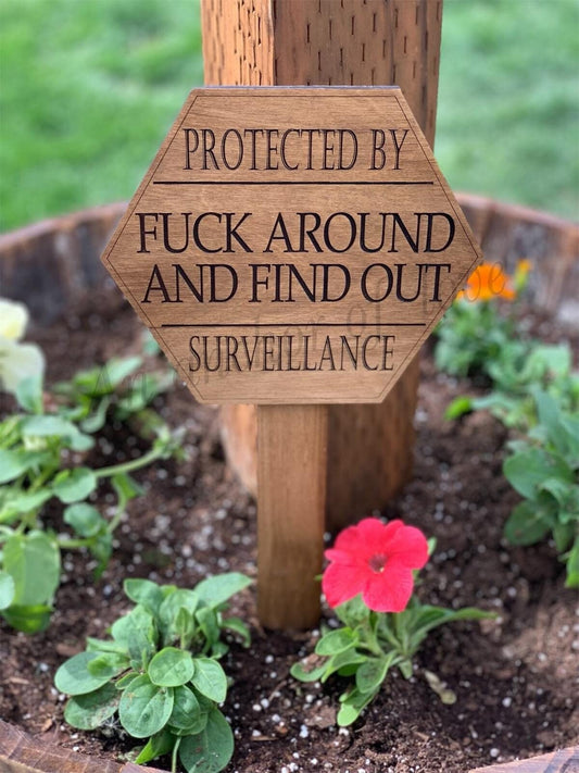 Protected by Fuck around and find out (FAFO) Surveillance Sign